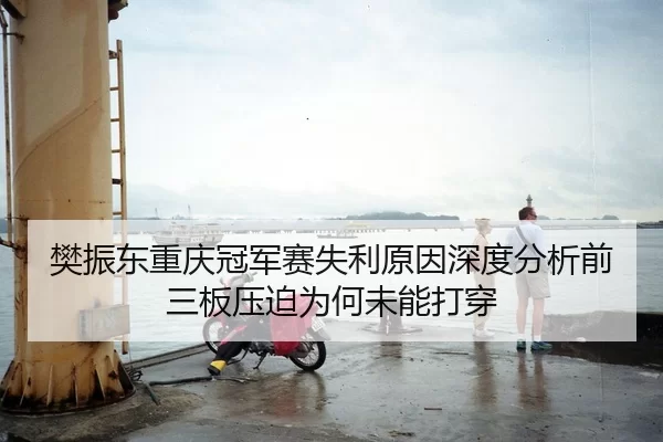 樊振东重庆冠军赛失利原因深度分析前三板压迫为何未能打穿