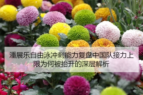 潘展乐自由泳冲刺能力复盘中国队接力上限为何被抬升的深层解析