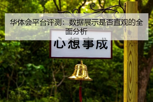 华体会平台评测：数据展示是否直观的全面分析