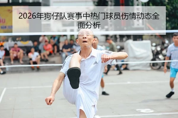 2026年狗仔队赛事中热门球员伤情动态全面分析