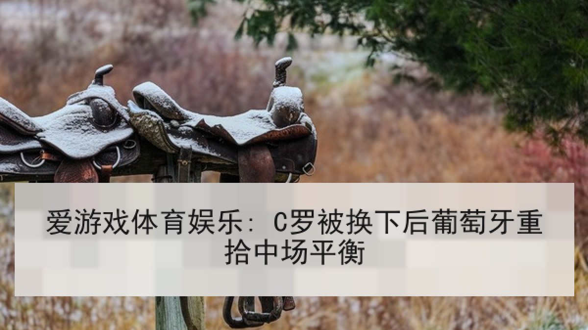 爱游戏体育娱乐: C罗被换下后葡萄牙重拾中场平衡