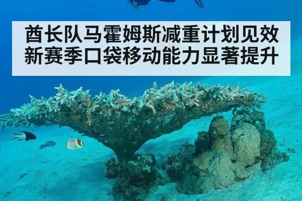 酋长队马霍姆斯减重计划见效新赛季口袋移动能力显著提升